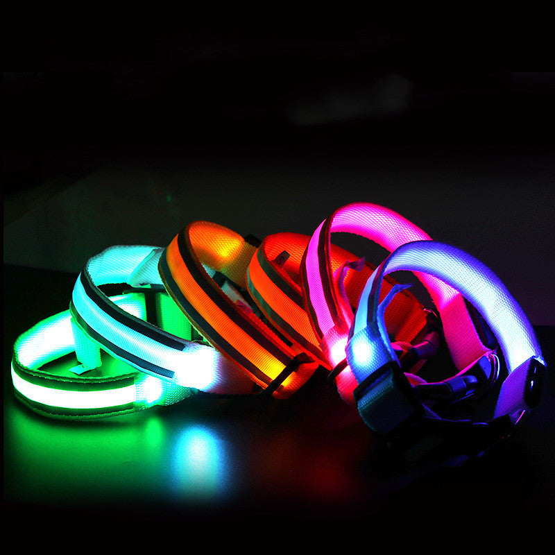 GGenius Glow Walk LED Dog Collar