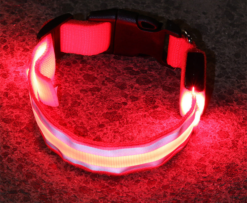 GGenius Glow Walk LED Dog Collar
