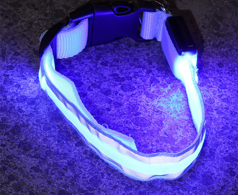 GGenius Glow Walk LED Dog Collar