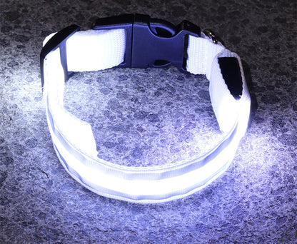 GGenius Glow Walk LED Dog Collar